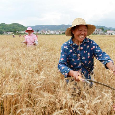 房县最新疫情动态及寻找特定人员行动更新