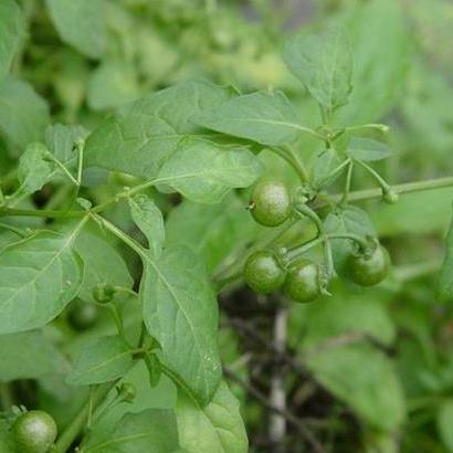 天津至周口路况更新，实时信息及过路费详解