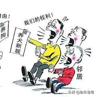 全球毒品市场概况与打击毒品行动