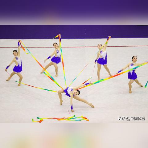 体操健身视频大全，在家高效锻炼指南