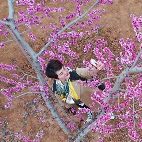 肥城西区繁荣景象俯瞰图,新楼盘林立,优质住宅吸引购房者