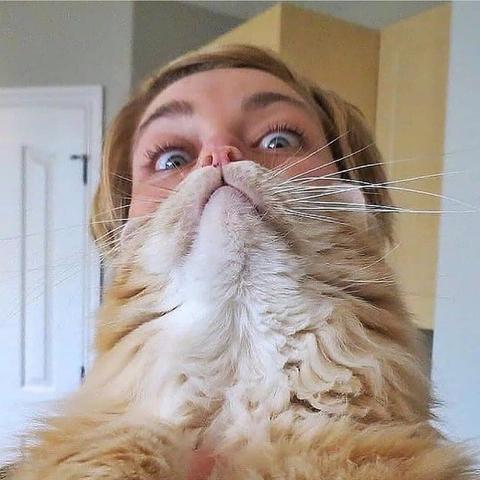 星球种植攻略视频大全最新,星球的养殖方法