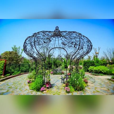 星球种植攻略视频大全最新,星球的养殖方法