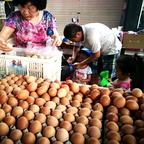 白羽鸡今日最新消息，白羽鸡今日报价
