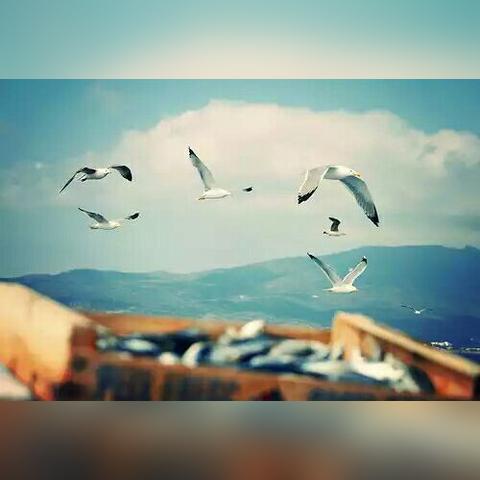 qq常见问题解答大全最新,qq问题和答案大全唯美