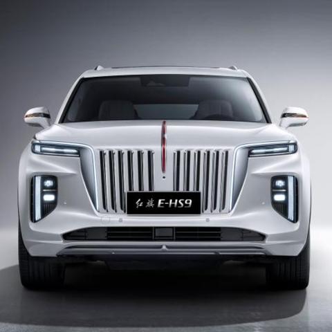 世界新能源汽车厂家排名,世界新能源汽车品牌排名