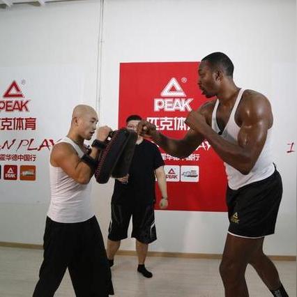 世界无武术排名，世界全部武术