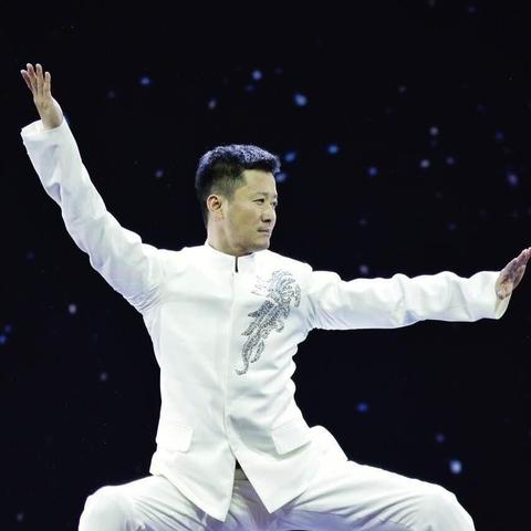 世界无武术排名,世界全部武术