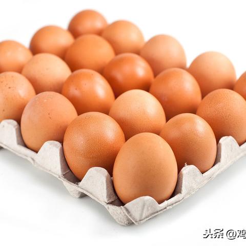 今日北京鸡蛋价最新，今天北京鸡蛋价格