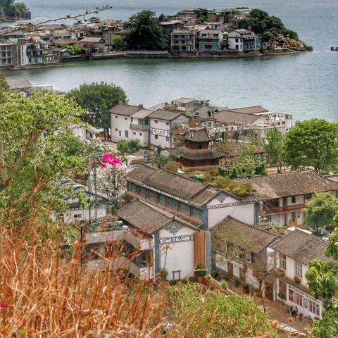 古镇今日疫情通报最新,古镇今日疫情通报最新数据