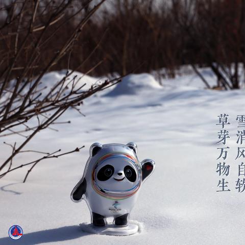 今日立春进程图表最新,今日立春立春时间