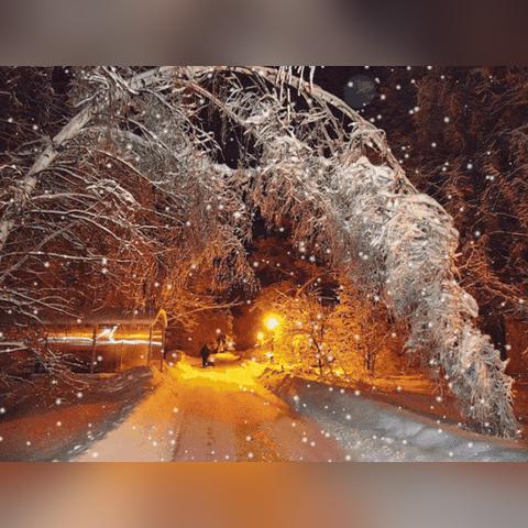 甘肃陇南下雪事件真相最新，甘肃陇南雪景
