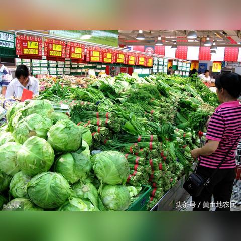 今日疏菜行情最新消息,今日菜价查询 最新蔬菜价格行情肉类