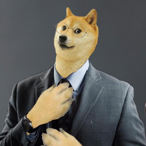 狗狗币最新价格今日价格，狗狗币最新价格多少