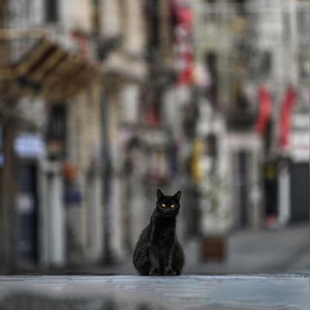 埃及今日最新战况如何看，埃及今日疫情消息