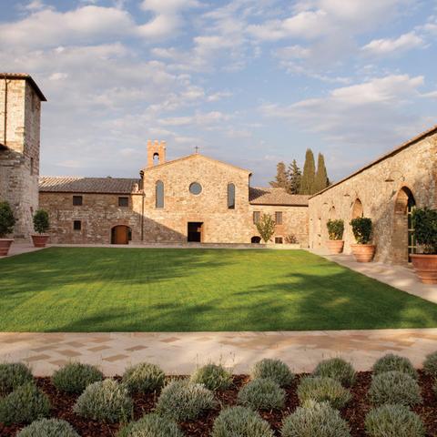 世界优质木材排名，世界著名木材