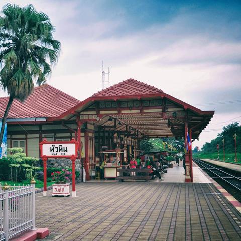 世界优质木材排名,世界著名木材