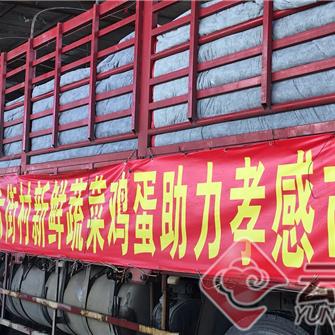 通海菜价今日行情最新消息，通海蔬菜介绍