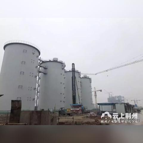 森林纸厂最新价格查询,森林纸业有限公司