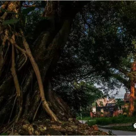 肇庆新闻头条江口,肇庆 新闻