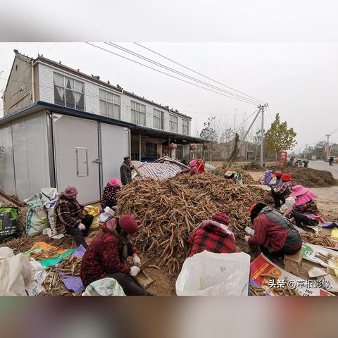 世界种子库存国家排名,全球种子库种子的保存方法