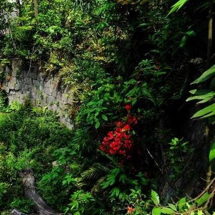 今日明堂新闻最新消息,今日淸明