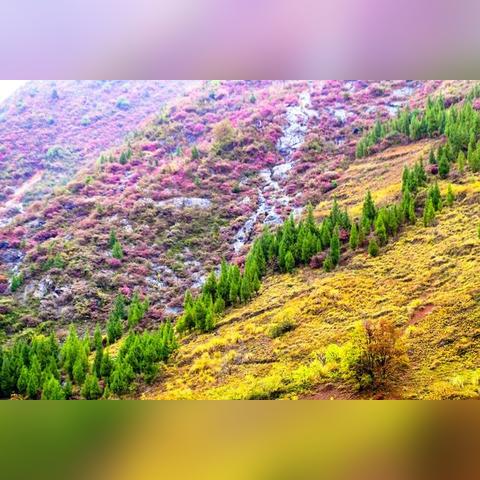 巫山龙门派出所新闻头条,巫山县龙门街道电话