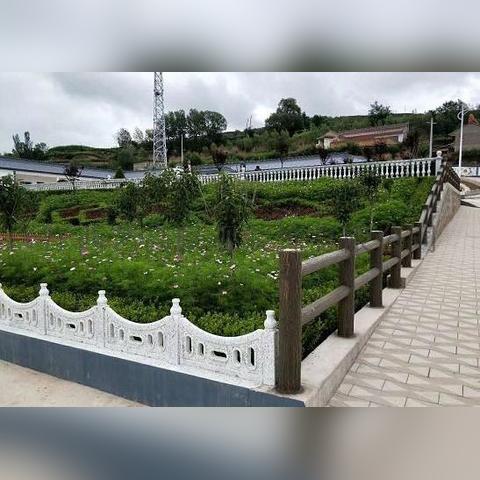 今日围栏行情最新消息,今日围栏行情最新消息查询