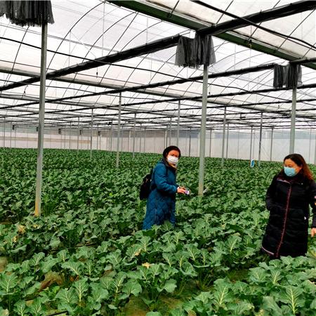 今日贞丰疫情最新信息,今日贞丰新闻最新头条