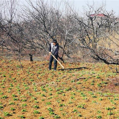 大国工匠·材料报国 第33页