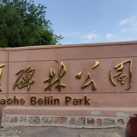 辽河公园最新今日头条，去辽河公园坐几路车