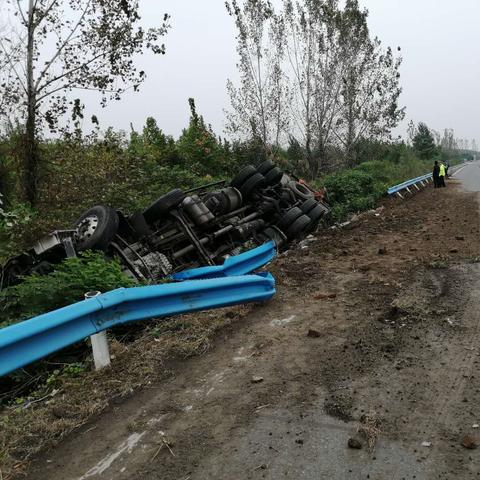 今日周口生猪最新价格,周口近期生猪价格走势