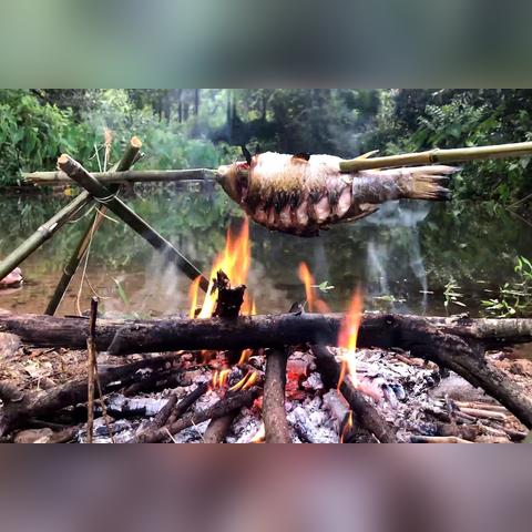 今日羊姜行情最新消息,今日羊价行情价格表