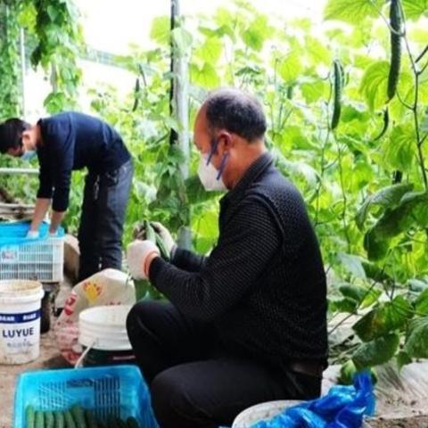 汶上今日降雨量最新消息，汶上县今日天气