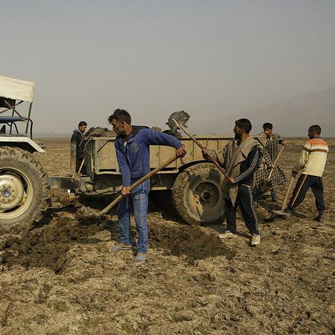 世界最大木材企业排名,世界最大木材出口商