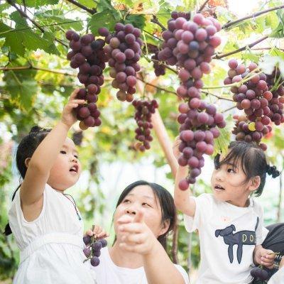 新乡贤新闻头条,新乡贤代表