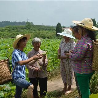 孝顺镇新闻头条,孝顺镇镇长是谁