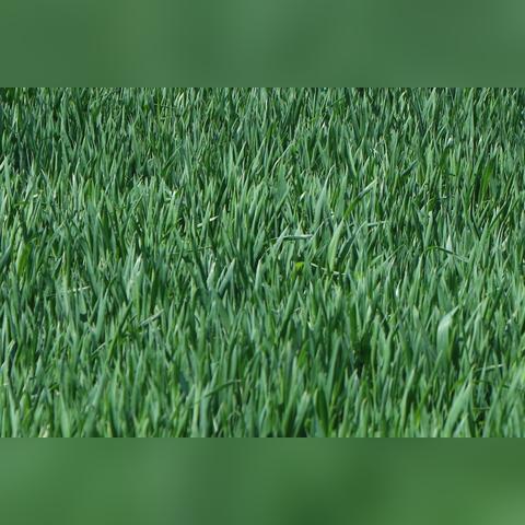 今日摸鱼日报最新消息新闻,今日捉鱼