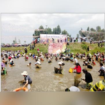 今日摸鱼日报最新消息新闻,今日捉鱼