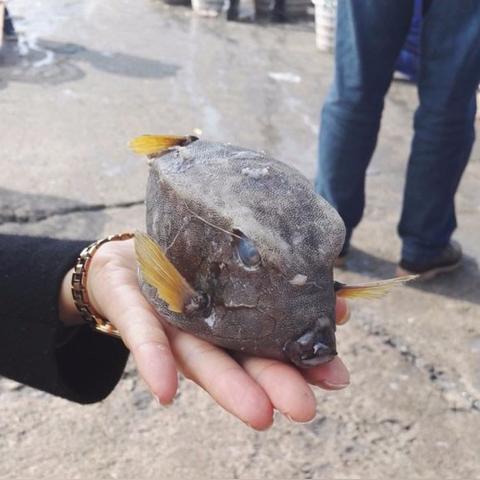 蚕丛鸟道 第2页