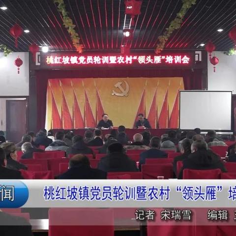 桃红坡镇新闻头条，桃红坡镇党委书记王金荣