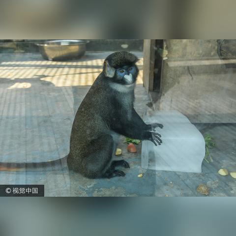 各地防暑工作方案最新修订,防暑工作措施有哪些