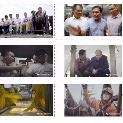 顺德今日活动轨迹最新公布,今天顺德