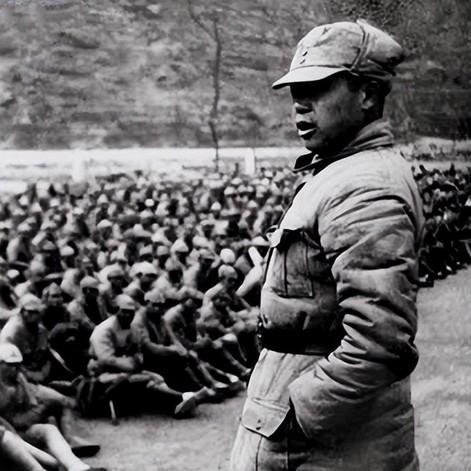 世界手长排名,世界最长手臂是谁