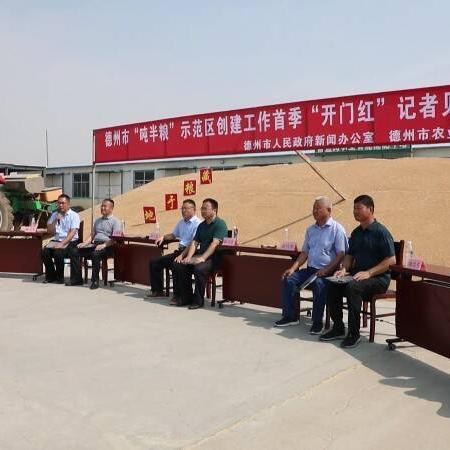 今日临邑新闻最新消息,临邑县今日新闻最新