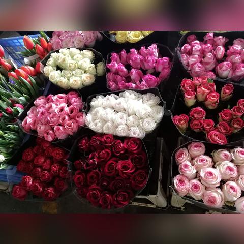 今日花价最新消息查询，今日鲜花价格表