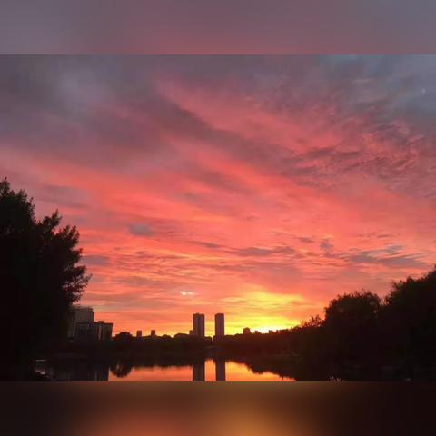 济宁世界城市排名，济宁百强城市排名