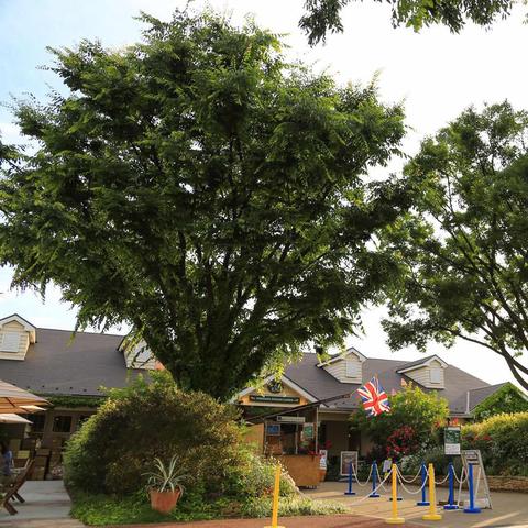 横滨西区房子出租信息最新,横滨住宅区