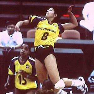 世界女子排坛左手排名，世界女子排坛排行榜