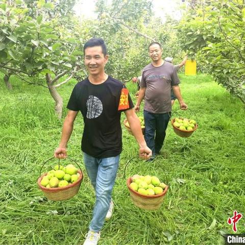 今日铁门关疫情最新消息，今日铁价最新行情预测